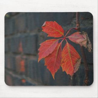 Tapis De Souris Mousepad Feuille rouge