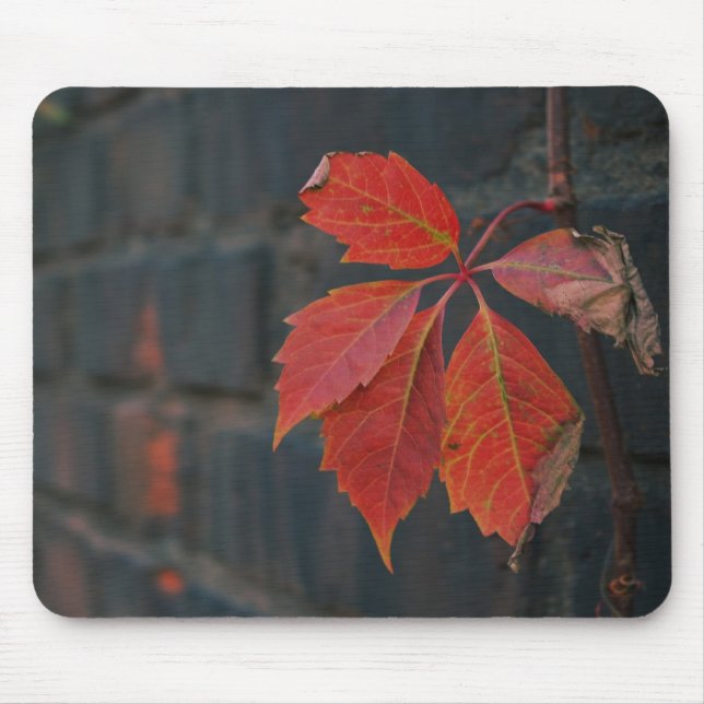 Tapis De Souris Mousepad Feuille rouge (Devant)