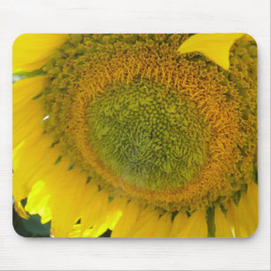 Tapis De Souris Mousepad : Fleur de tournesol