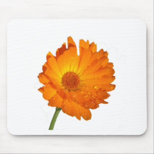Tapis De Souris Mousepad - Fleur orange sur pierre