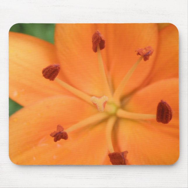 Tapis De Souris Mousepad floral orange Lily (Devant)