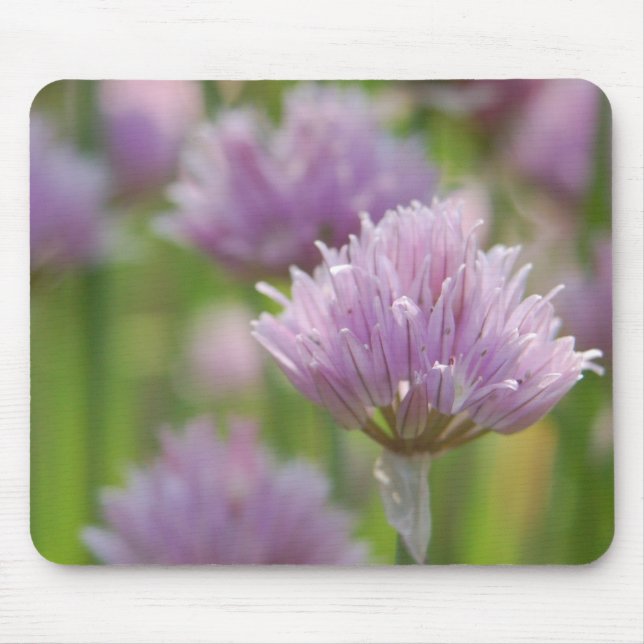 Tapis De Souris Mousepad Floral Violet (Devant)