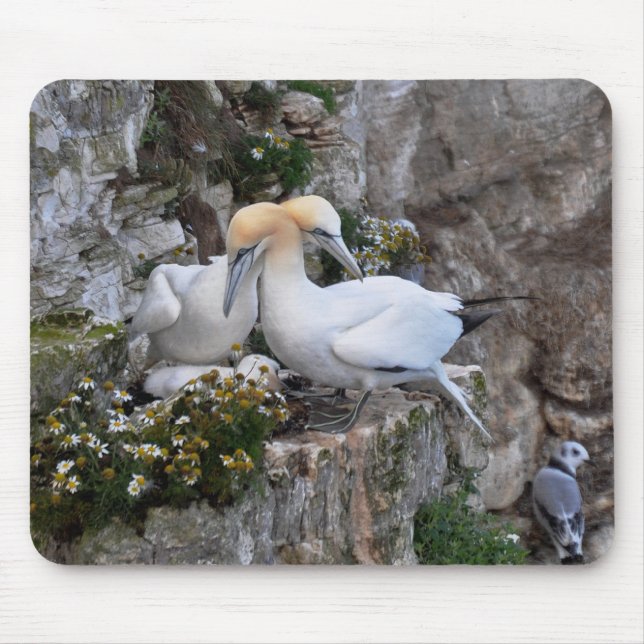 Tapis De Souris Mousepad : Fous de Bassan et fleurs (Devant)