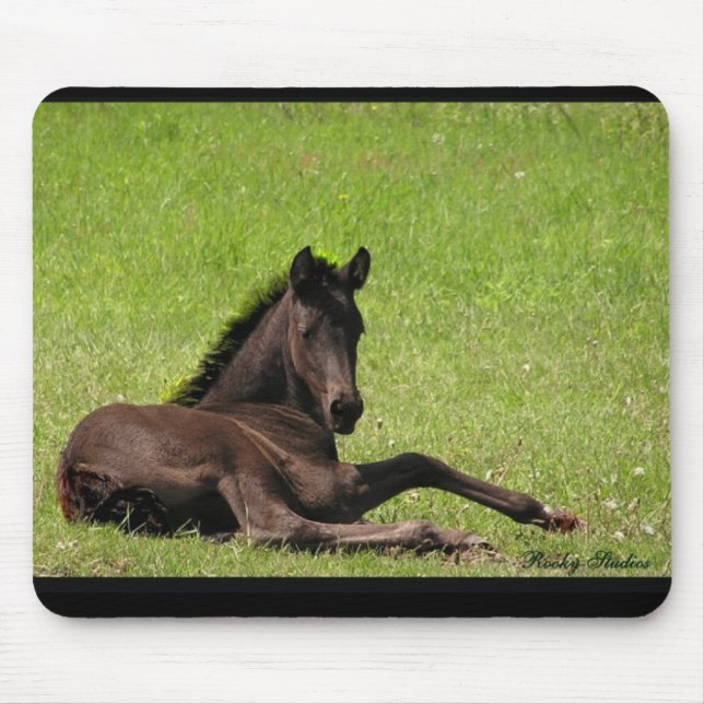 Tapis De Souris Mousepad frison de poulain (Devant)