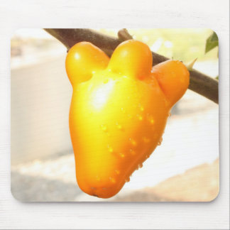 Tapis De Souris Mousepad Fruit Face Renard