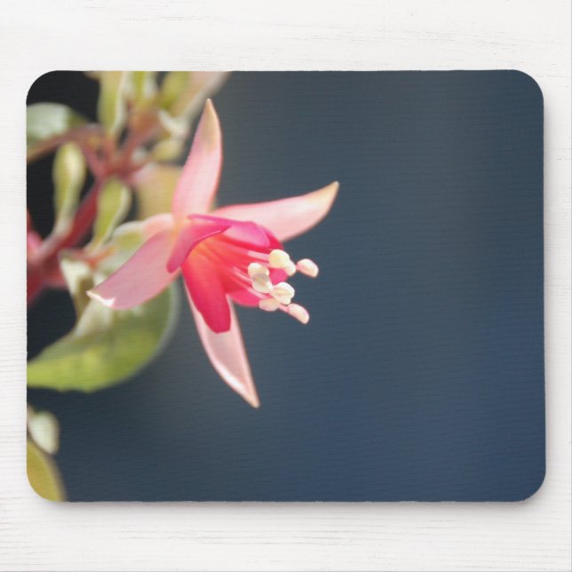 Tapis De Souris Mousepad fuchsia rose (Devant)