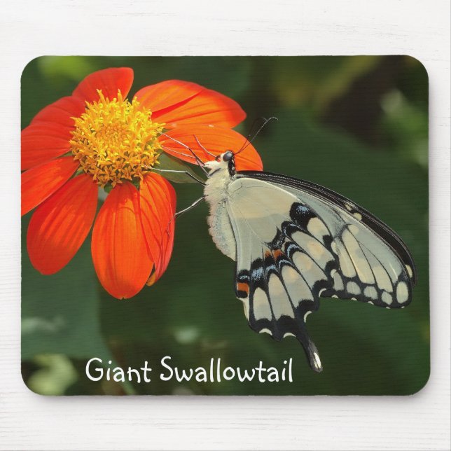 Tapis De Souris Mousepad géant de machaon (Devant)