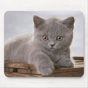 Tapis De Souris mousepad gris mignon de chaton