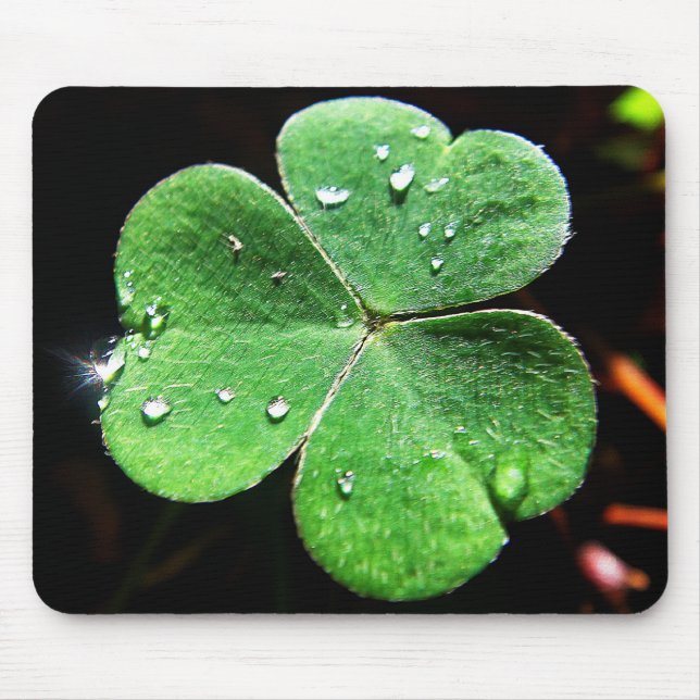 Tapis De Souris Mousepad grünes Kleeblatt mit Wassertropfen (Devant)