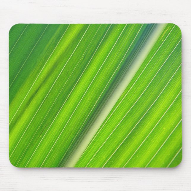 Tapis De Souris Mousepad hellgrünes Maisblattdesign (Devant)