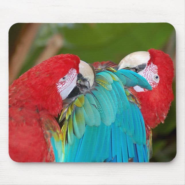 Tapis De Souris Mousepad imprimé perroquets rouges et bleus (Devant)