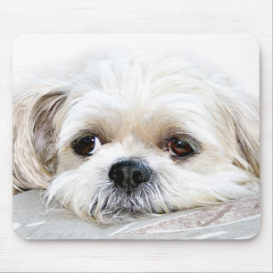Tapis De Souris mousepad isolé de tzu de shih
