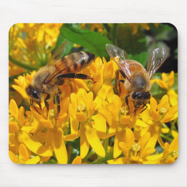 Tapis De Souris Mousepad jumeau de ~ d'abeilles (Devant)