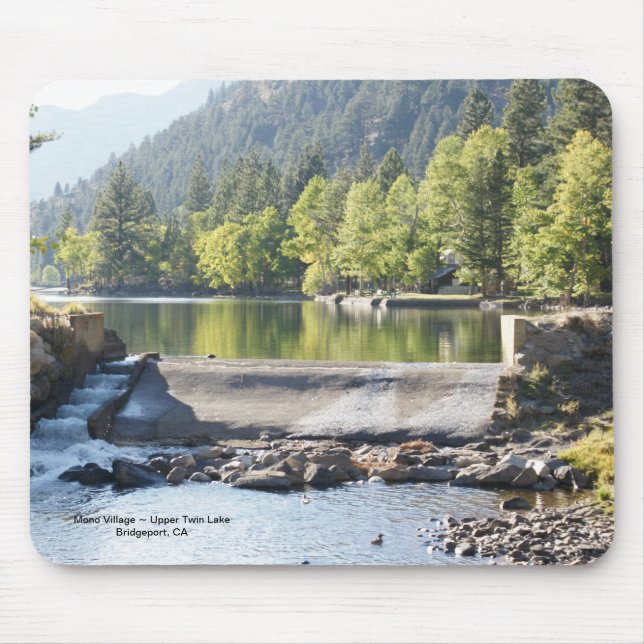 Tapis De Souris Mousepad jumeau supérieur (Devant)