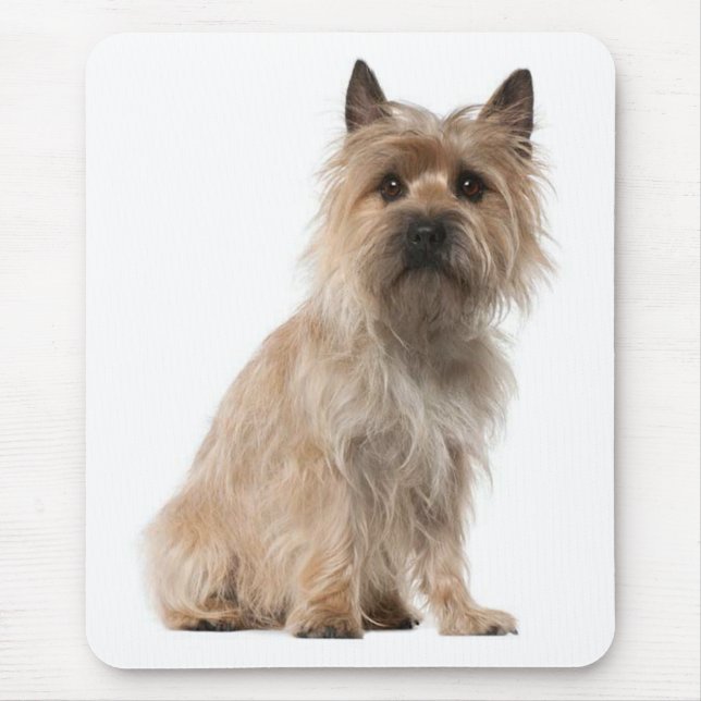 Tapis De Souris Mousepad, le chien coquelicot de Cairn Terrier (Devant)