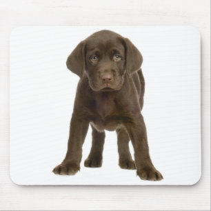 Tapis De Souris Mousepad, le chien coquelicot du Labrador rétrific