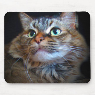 Tapis De Souris mousepad libby de chat