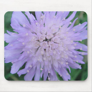 Tapis De Souris Mousepad lila Scabiosa