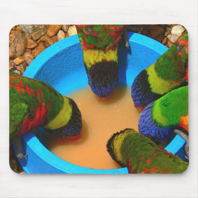 Tapis De Souris Mousepad, Lorikeets (Devant)