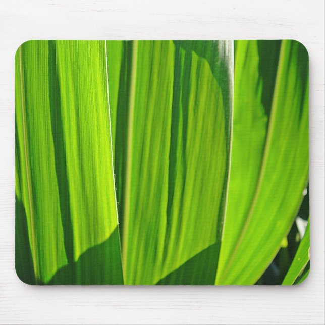 Tapis De Souris Mousepad Maisblätter (Devant)