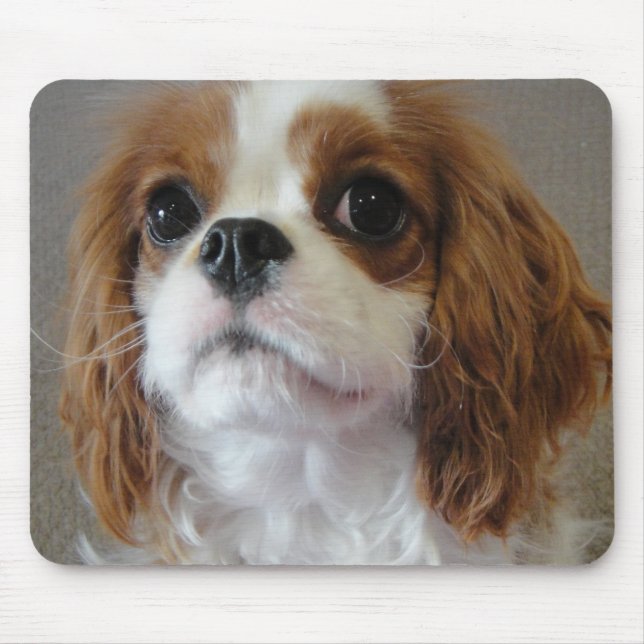 Tapis De Souris Mousepad mignon cavalier de chiot du Roi Charles (Devant)