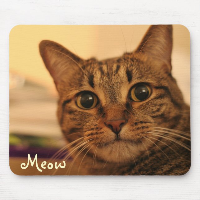 Tapis De Souris Mousepad mignon de visage de chat tigré (Devant)