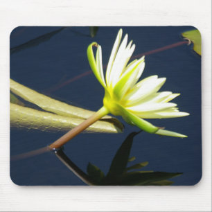 Tapis De Souris mousepad nénuphar blanc