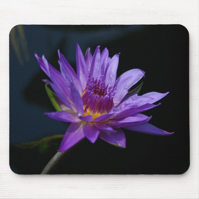 Tapis De Souris Mousepad, Nénuphar de Lotus violet (Devant)