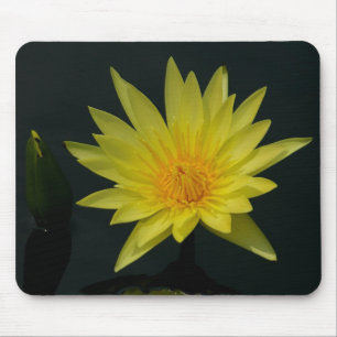 Tapis De Souris Mousepad Nénuphar jaune