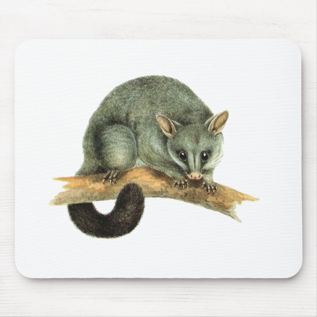 Tapis De Souris Mousepad - opossum (Devant)