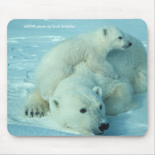 Tapis De Souris Mousepad/ours blanc et CUB