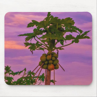 Tapis De Souris Mousepad Papaya Tree Et Coucher De Soleil Brésilie