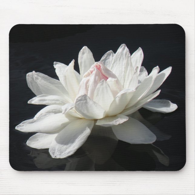 Tapis De Souris Mousepad, Papier Lily d'eau blanche (Devant)