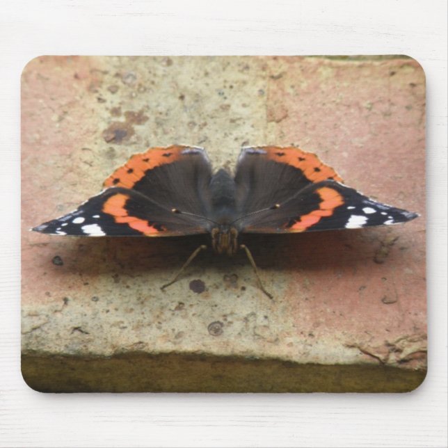 Tapis De Souris Mousepad, papillon de l'amiral rouge (Devant)