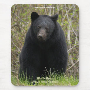 Tapis De Souris Mousepad, partisan de la faune de l'ours noir