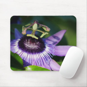 Tapis De Souris Mousepad Passionfruit pourpre
