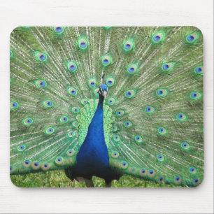 Tapis De Souris Mousepad - Peacock