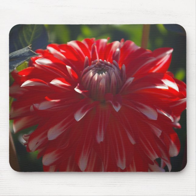Tapis De Souris Mousepad rouge de fleur (Devant)