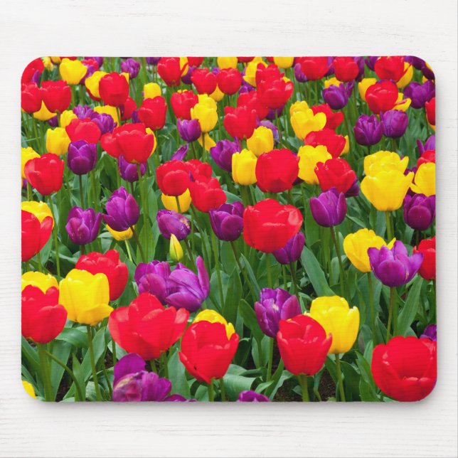 Tapis De Souris Mousepad rouge, pourpre, jaune de tulipe (Devant)