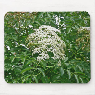 Tapis De Souris Mousepad (Sambucus canadensis)