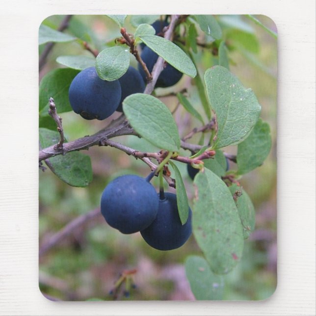 Tapis De Souris Mousepad sauvage de baies (Devant)