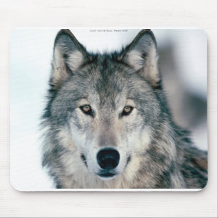 Tapis De Souris Mousepad solitaire de loup gris
