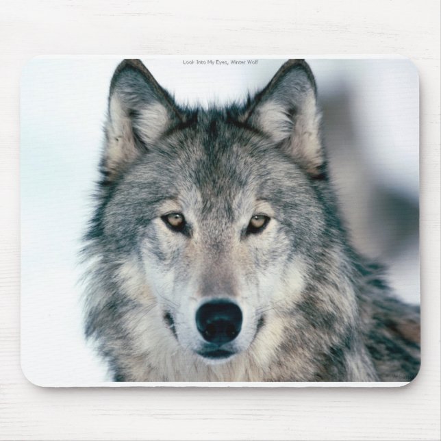 Tapis De Souris Mousepad solitaire de loup gris (Devant)