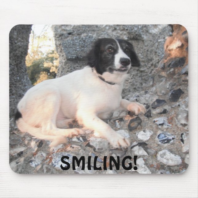 Tapis De Souris Mousepad Sprollie Visite du château Souriant (Devant)