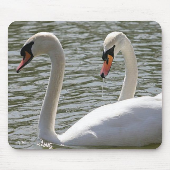 Tapis De Souris Mousepad Swan (Devant)
