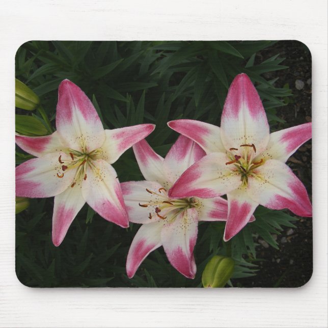 Tapis De Souris Mousepad triple de ~ de lis (Devant)