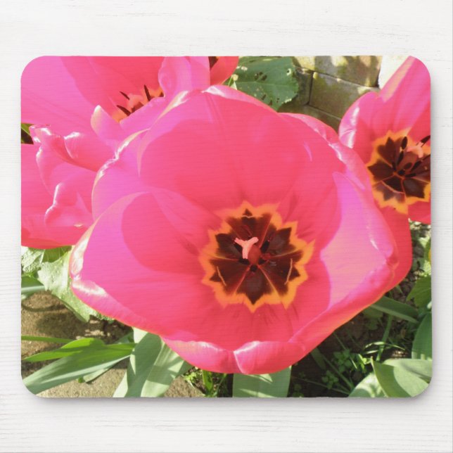Tapis De Souris Mousepad Tulipes roses (Devant)