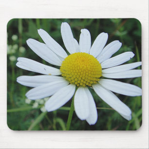 Tapis De Souris Mousepad weisse Margeritenblüte