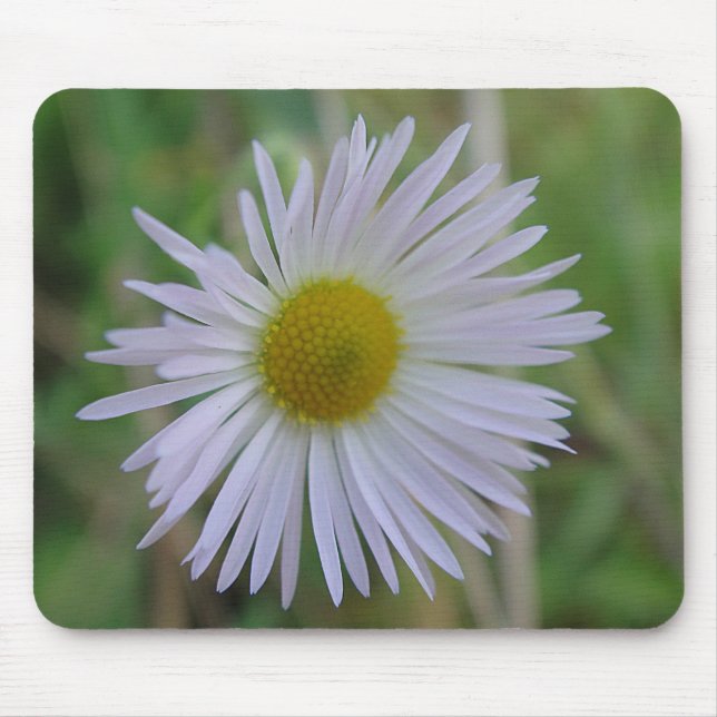 Tapis De Souris Mousepad weisse Wildblüte (Devant)