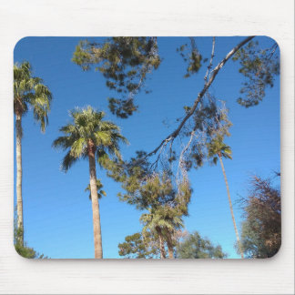 Tapis De Souris MousePads